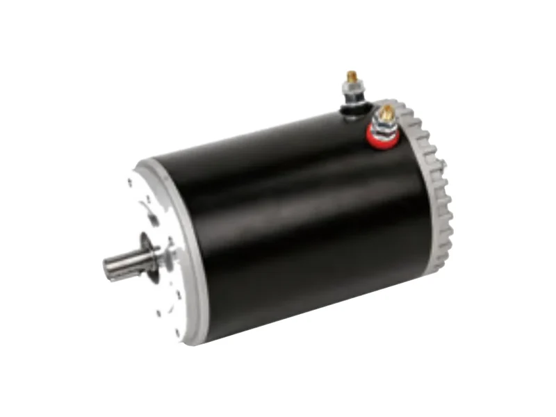 BT09ZX-24V 24V DC motor